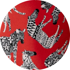 Bikinis - Zebra – MYSSO SWIMWEAR